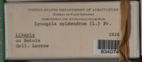 Image Associated With the Occurence